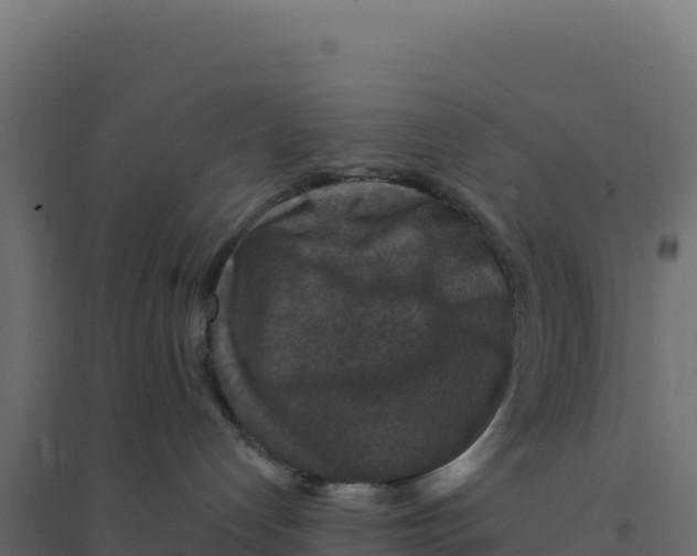 X0000094190192200711241623