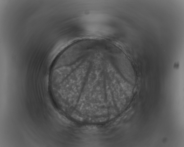 X0000094190194200711241622