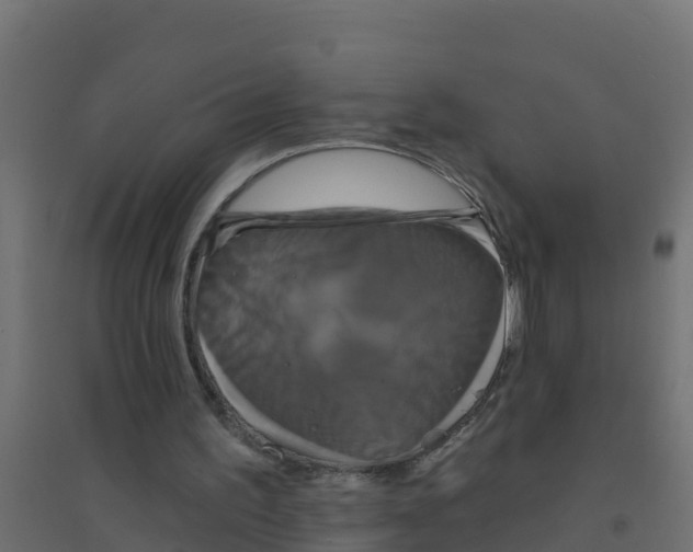 X0000094190195200711241622