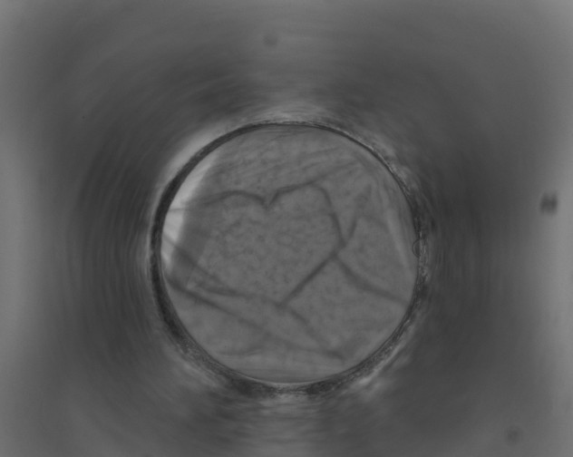 X0000094190196200711241622