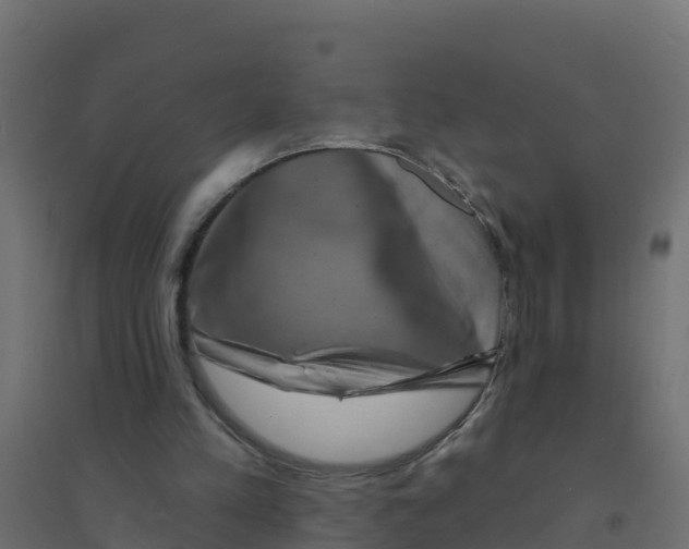 X0000094190197200711241622