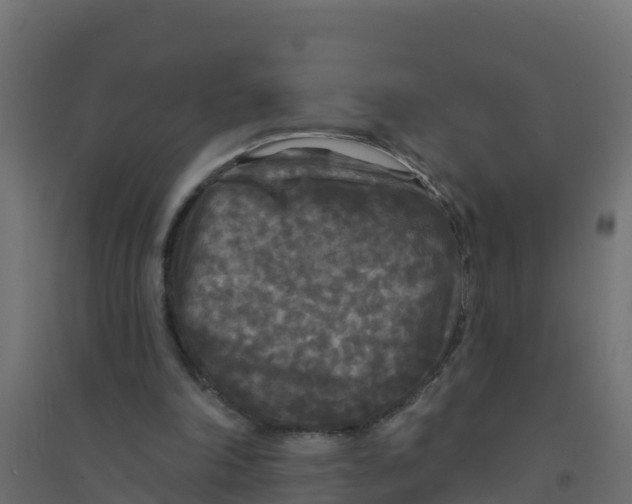 X0000094190198200711241622