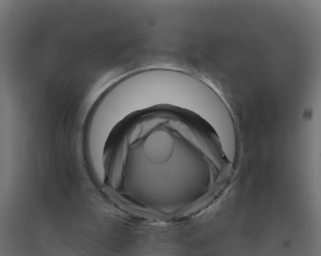 X0000094190199200711241622