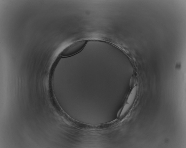 X0000094190200200711241622