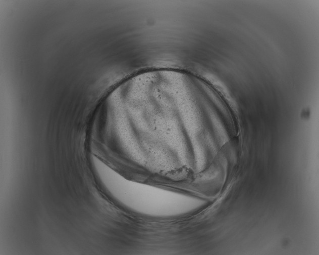 X0000094190201200711241622