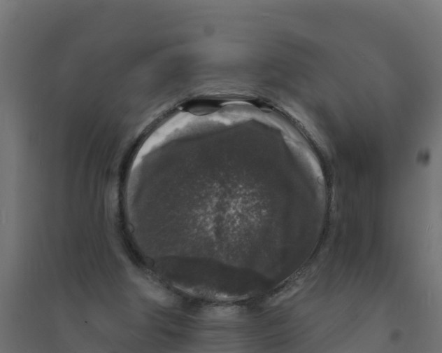X0000094190202200711241622