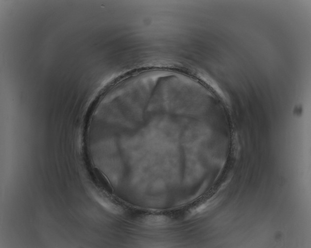 X0000094190203200711241622