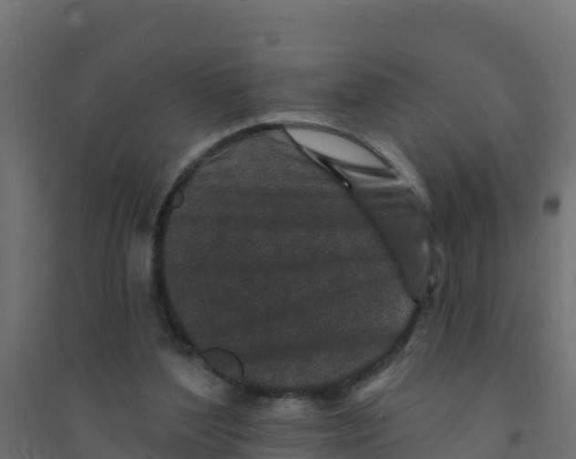 X0000094190204200711241622