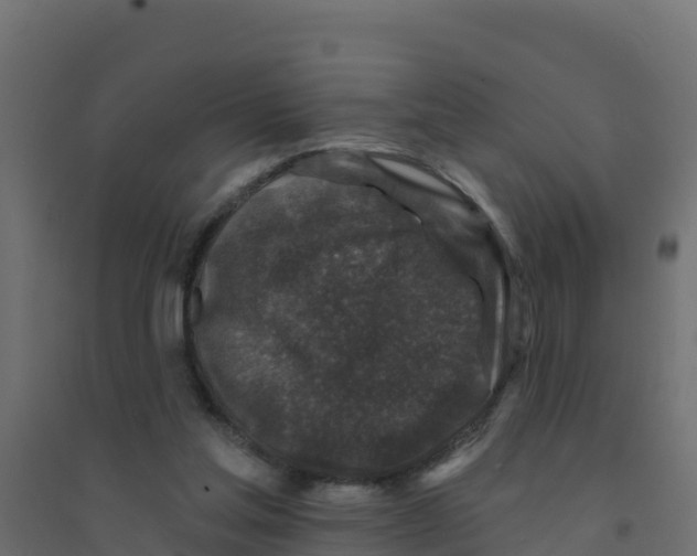 X0000094190205200711241622