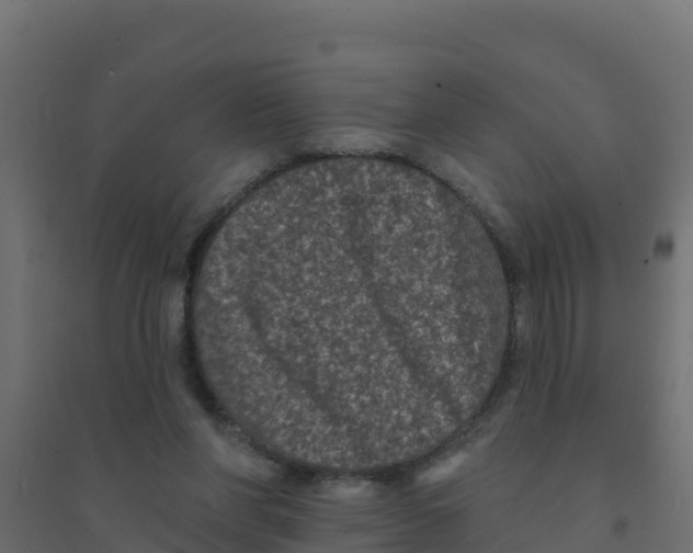 X0000094190206200711241622