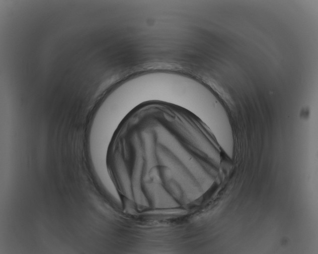 X0000094190207200711241622