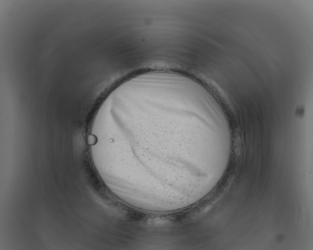 X0000094190208200711241622