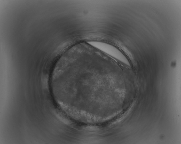 X0000094190209200711241622