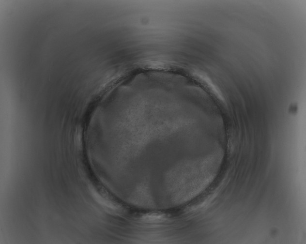 X0000094190213200711241622