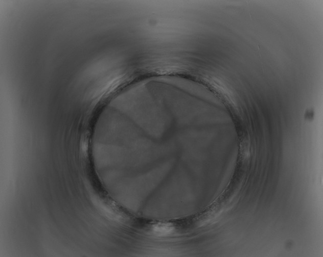 X0000094190214200711241622