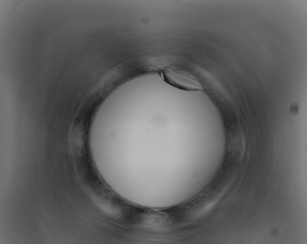 X0000094190215200711241622