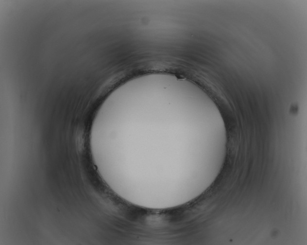 X0000094190216200711241622