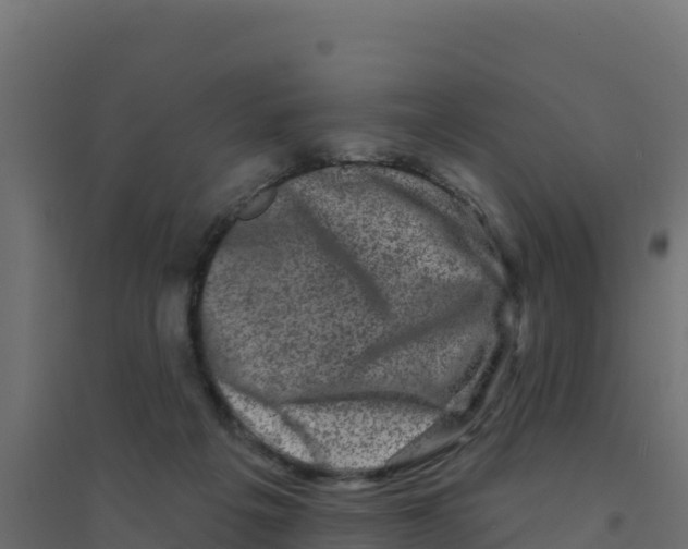 X0000094190217200711241622