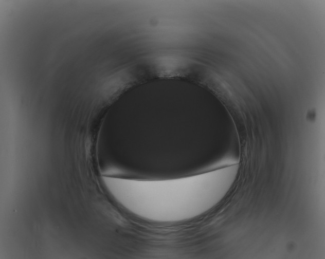 X0000094190219200711241622
