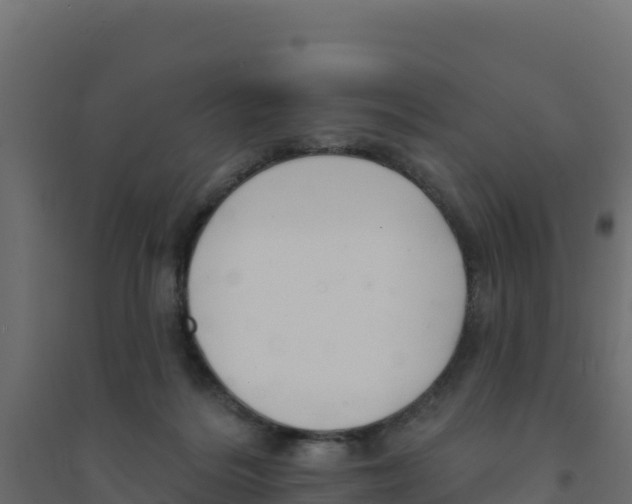 X0000094190220200711241622