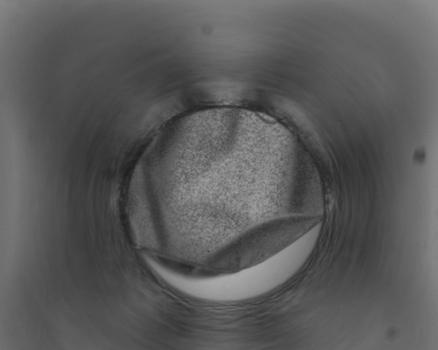 X0000094190221200711241622