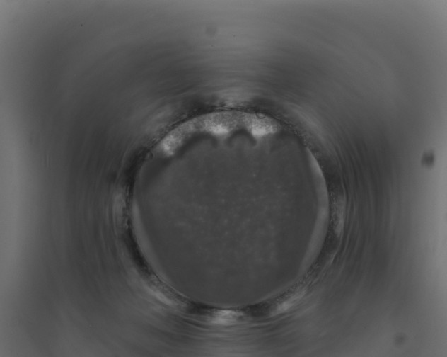 X0000094190222200711241622