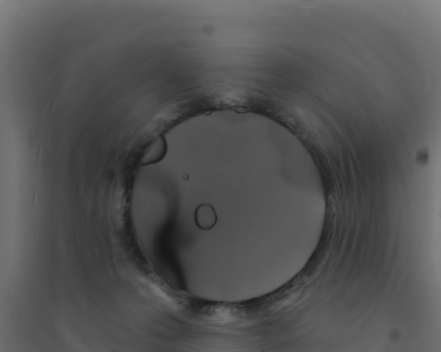 X0000094190223200711241622