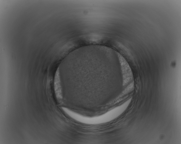 X0000094190225200711241622