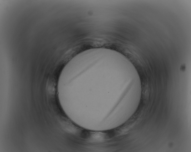 X0000094190226200711241622