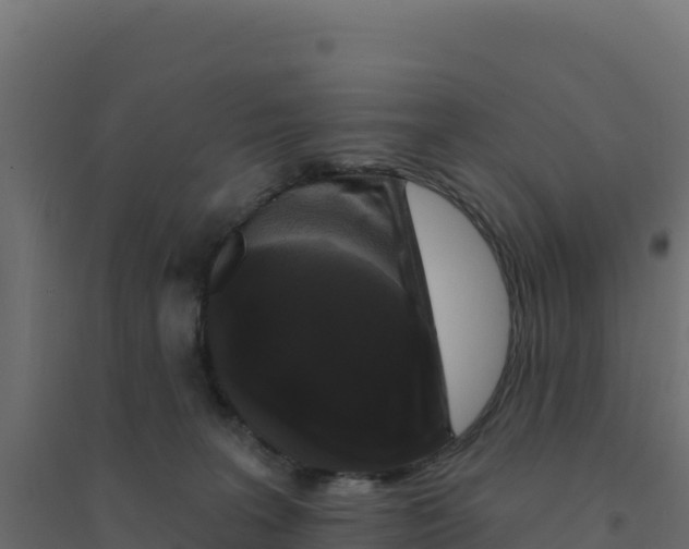 X0000094190227200711241622