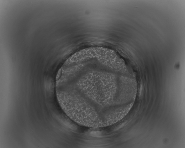 X0000094190228200711241622