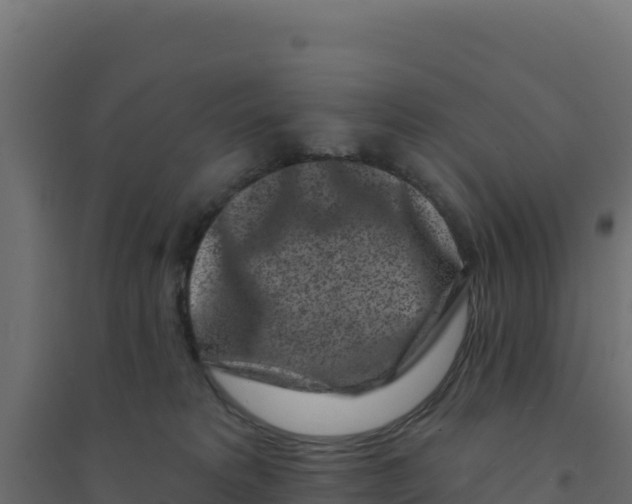 X0000094190229200711241622