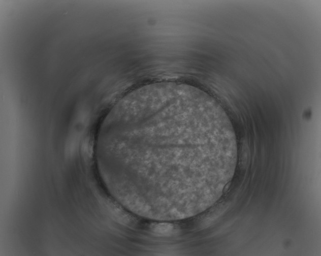 X0000094190230200711241622