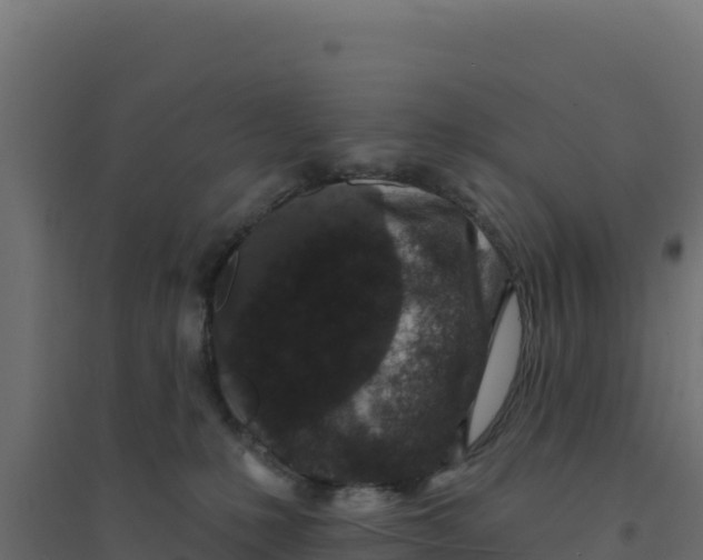 X0000094190231200711241622