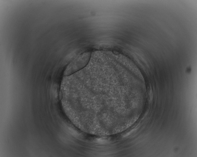 X0000094190232200711241622