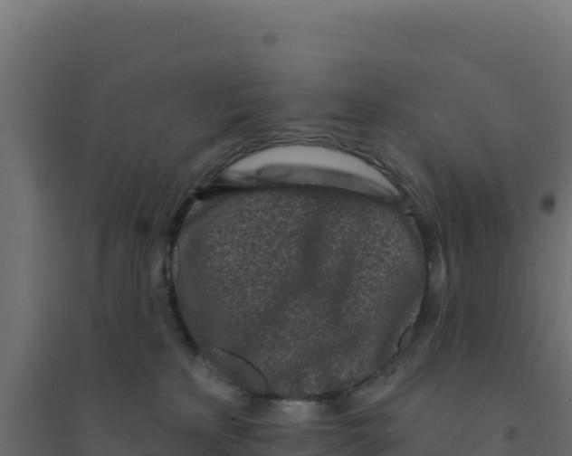 X0000094190233200711241622