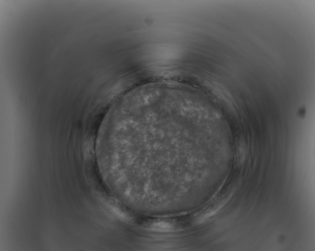 X0000094190236200711241622