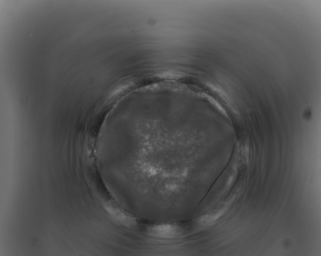 X0000094190237200711241622