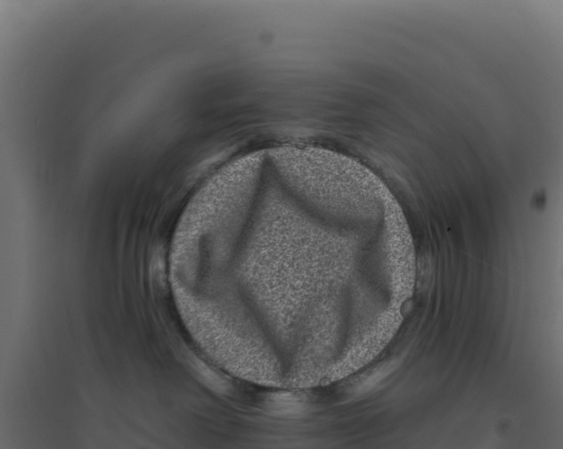 X0000094190238200711241622