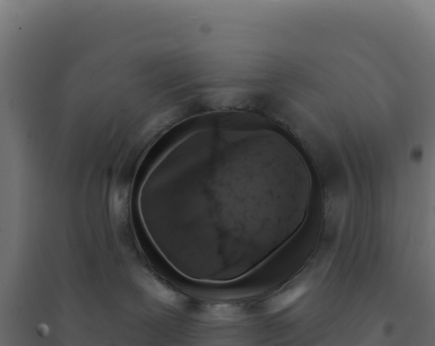 X0000094190239200711241622