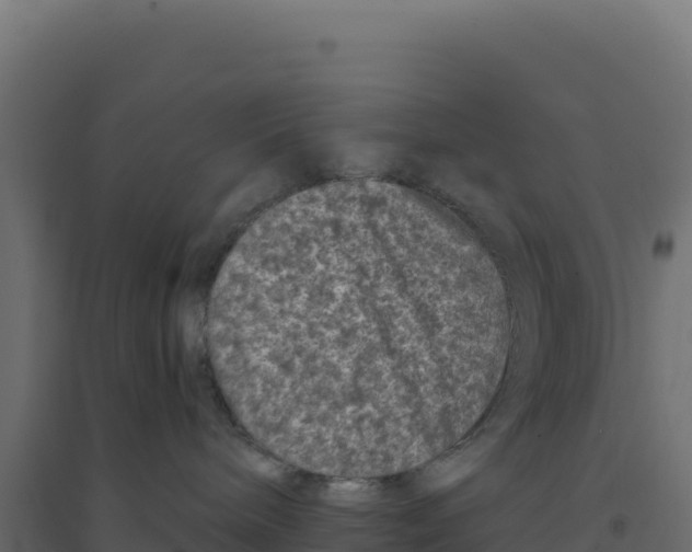 X0000094190240200711241622