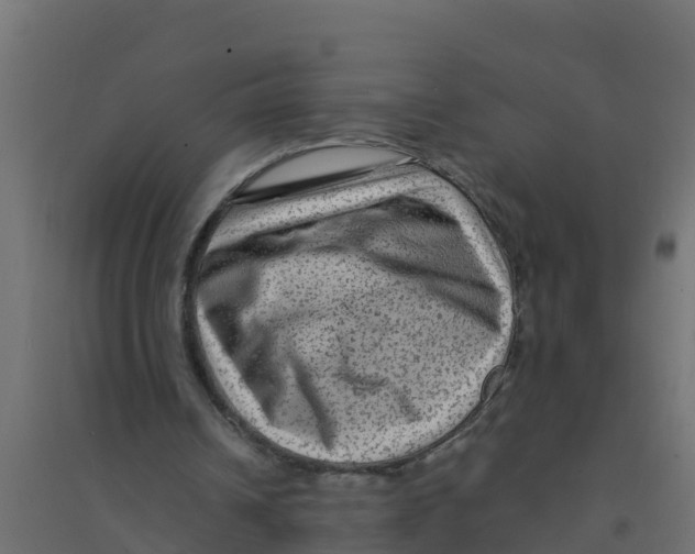 X0000094190242200711241621