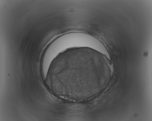 X0000094190243200711241621