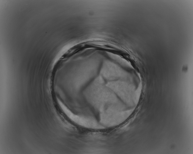 X0000094190244200711241621