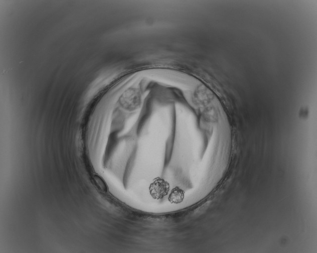X0000094190245200711241621