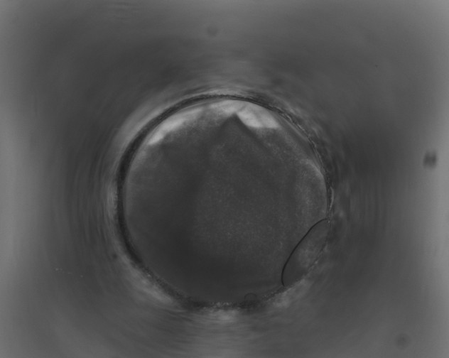 X0000094190247200711241621