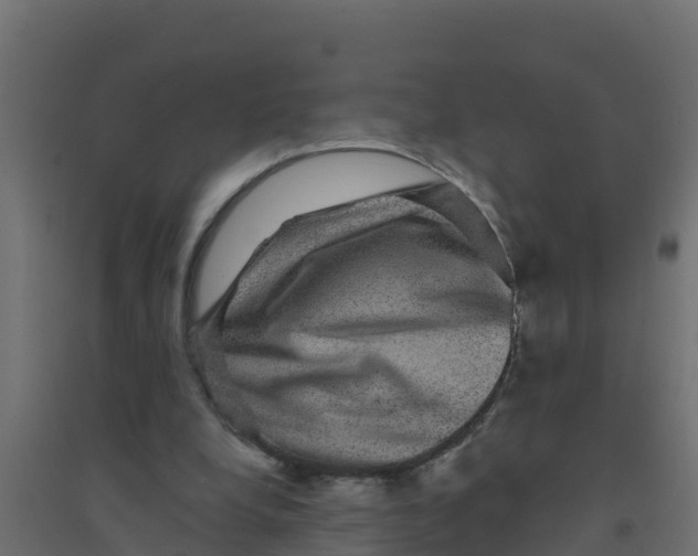 X0000094190248200711241621
