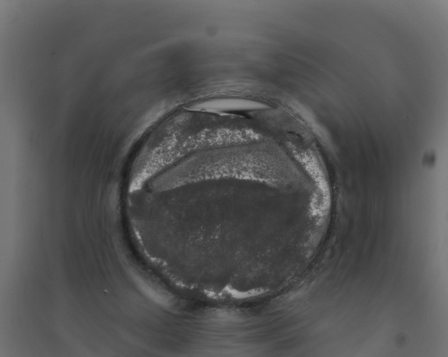 X0000094190250200711241621