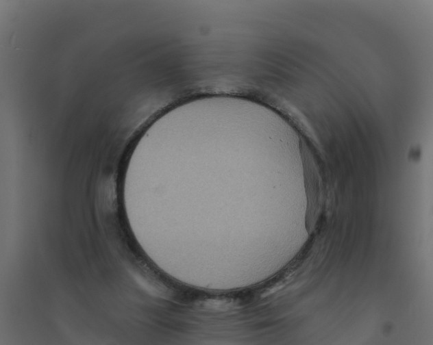X0000094190251200711241621