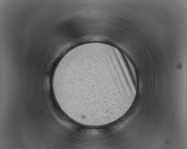 X0000094190254200711241621